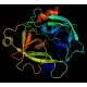 Rat Kallikrein-6 (KLK6) ELISA Kit ( Part rKLK6-Biotin) kw:  kallikrein 6, neurosin